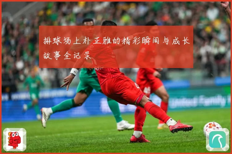 排球场上朴正雅的精彩瞬间与成长故事全记录