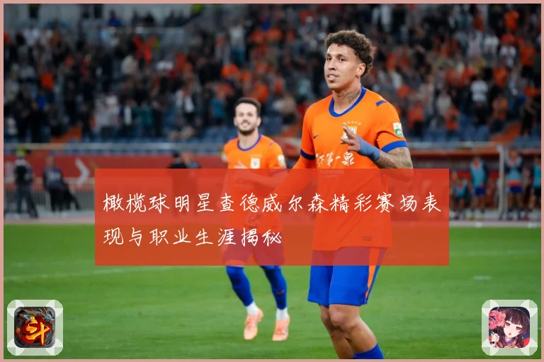 橄榄球明星查德威尔森精彩赛场表现与职业生涯揭秘